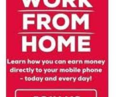 Secure 11-Month Contract: High-Volume Data Entry 7708244092