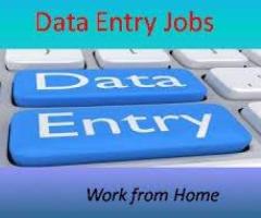 Data Entry and Typing Project Available 7708244092