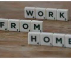 Work from Home: Data Entry Opportunity